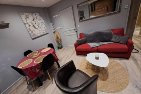 Nice T3 with Wifi near the sea